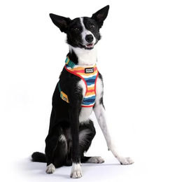 Produktbild von DOOG Neoflex Hunde-Softgeschirr Scout Sportgeschirr aus Neopren wasserabweisend Bunt Größe M