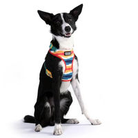 Produktbild von DOOG Neoflex Hunde-Softgeschirr Scout Sportgeschirr aus Neopren wasserabweisend Bunt Größe M