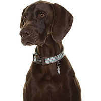 Produktbild von DOOG Neopren-Hundehalsband Luna wasserabweisend Braun Blau Bunt Größe L