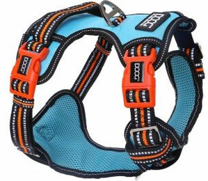 DOOG Neotech Sportgeschirr für Hunde aus Neopren Größe M Beethoven aqua/orange wasserabweisend – Bild 1 von 4