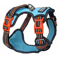 Produktbild von DOOG Neotech Sportgeschirr für Hunde aus Neopren Größe M Beethoven aqua/orange wasserabweisend