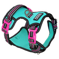 Produktbild von DOOG Neotech Sportgeschirr für Hunde aus Nylon wasserdicht Grün Rosa Größe XL