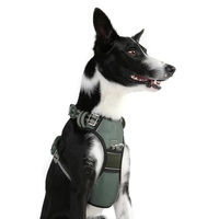 Produktbild von DOOG Neotech Sportgeschirr für Hunde Grün Größe L Neoprengepolstert wasserabweisend