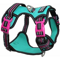Produktbild von DOOG Neotech Sportgeschirr für Hunde Rin Tin Tin grün/pink Größe S aus Neopren wasserabweisend