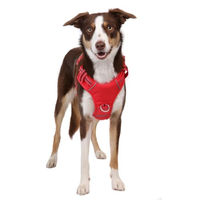 Produktbild von DOOG Neotech Sportgeschirr für Hunde Rot Größe M Neoprengepolstert wasserabweisend