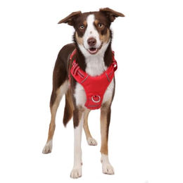 DOOG Neotech Sportgeschirr für Hunde Rot Neoprengepolstert Größe L – Bild 1 von 5