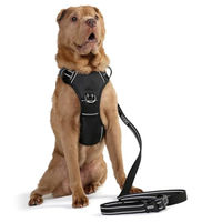 Produktbild von DOOG Neotech Sportgeschirr für Hunde Schwarz Neoprengepolstert Größe M