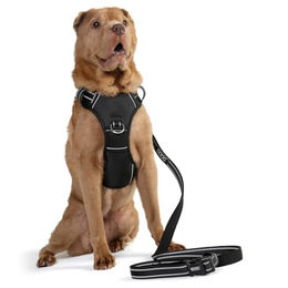 DOOG Neotech Sportgeschirr für Hunde Schwarz Neoprengepolstert Größe S – Bild 1 von 2
