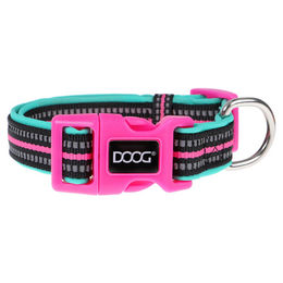 Produktbild von DOOG Rin Tin Tin Neon Halsband aus Nylon in Grün Rosa Größe M