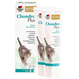 Doppelherz Chondro Plus Paste für Tiere 2X100 g – Bild 1 von 1