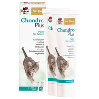 Produktbild von Doppelherz Chondro Plus Paste für Tiere 2X100 g