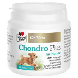 Doppelherz Chondro Plus Tabletten für Hunde 60 Stück – Bild 1 von 1