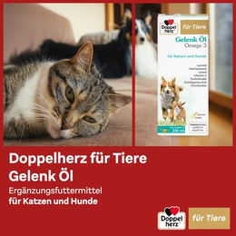 Doppelherz Gelenk Öl für Hunde und Katzen mit Omega-3 Fettsäuren 250 ml - 250 ml – Bild 1 von 10