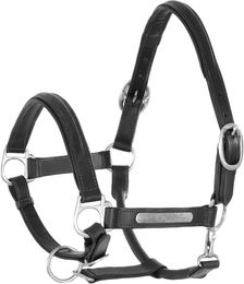 Produktbild von Doppelschlaufzügel aus Leder mit Messingbeschlägen von Umbria Equitazione in Schwarz