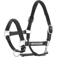 Produktbild von Doppelschlaufzügel aus Leder mit Messingbeschlägen von Umbria Equitazione in Schwarz