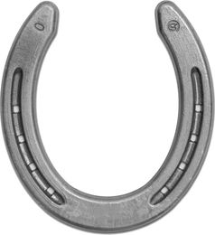 Produktbild von Double S Hufeisen Quarter Silber