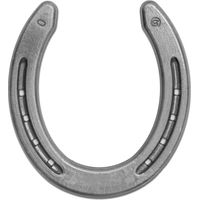 Produktbild von Double S Hufeisen Quarter Silber zur Hufpflege
