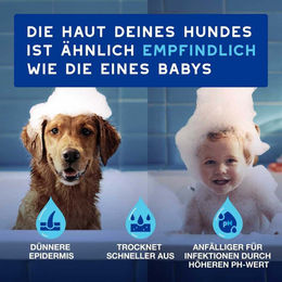 DOUXO SPA Ohrreiniger für Hunde 120 ml – Bild 1 von 2