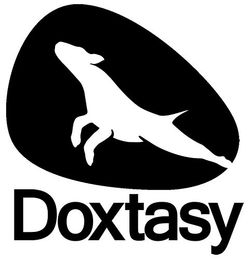 Produktbild von Doxtasy Neon Hundegeschirr Weste Fluoreszierend in Orange