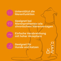 Produktbild von Dr. Ann's Kidney Support Nierensupport 2 x 60 g