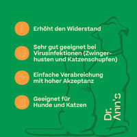 Produktbild von Dr. Ann's L-Lysine zur Immunstärkung mit Vitaminen 2 x 50 g