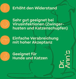 Dr. Ann's L-Lysine zur Immunstärkung mit Vitaminen 50 g – Bild 1 von 2