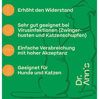 Produktbild von Dr. Ann's L-Lysine zur Immunstärkung mit Vitaminen 50 g