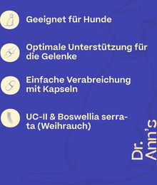 Dr. Ann's Mobility Support Advanced Gelenk-Supplement für Hunde 2 x 30 Kapseln – Bild 1 von 2