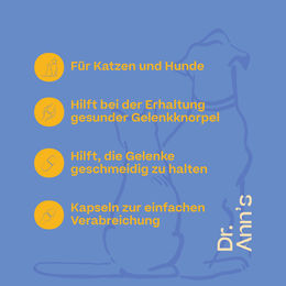 Dr. Ann's Mobility Support Plus Gelenk-Supplement Kapseln 2 x 30 Stück – Bild 1 von 2