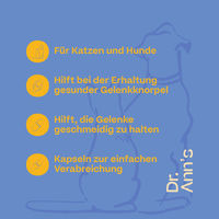 Produktbild von Dr. Ann's Mobility Support Plus Gelenk-Supplement Kapseln 2 x 30 Stück