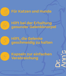 Dr. Ann's Mobility Support Plus Gelenk-Supplement Kapseln 3 x 30 Stück – Bild 1 von 2