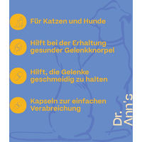 Produktbild von Dr. Ann's Mobility Support Plus Gelenk-Supplement Kapseln 3 x 30 Stück