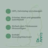 Produktbild von Dr. Ann's Mundwasser zur Zahnpflege 2 x 250 ml