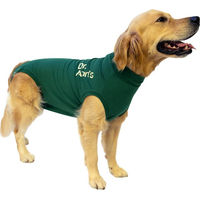 Produktbild von Dr. Ann's Protective Shirt Hund Grün XXXS