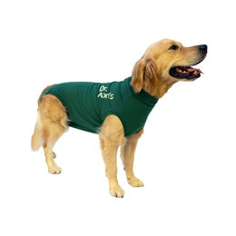 Dr. Ann's Protective T-Shirt für Hunde Größe S Grün – Bild 1 von 2