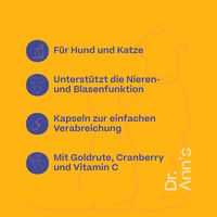 Produktbild von Dr. Ann's Urinary Care Kapseln zur Unterstützung der Harnwege 2 x 30 Stück