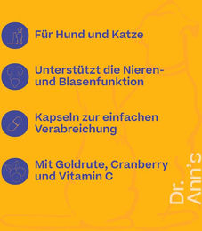 Dr. Ann's Urinary Care Kapseln zur Unterstützung der Harnwege 30 Stück – Bild 1 von 3