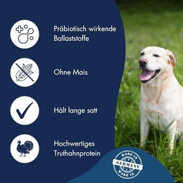 Dr. Clauder's Best Choice Senior Light Hundetrockenfutter Truthahn & Reis 12,5 kg - 12,5 kg – Bild 1 von 8
