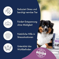 Produktbild von Dr. Clauder's Supplement Snack Relax Funktionssnack für Hunde und Katzen ohne tierisches Protein 150g - 8 x 150 g