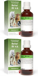 Dr. Reckeweg Globuli ReVet RV 4A Streukügelchen 42g – Bild 1 von 1
