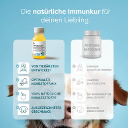 Dr. SAM Colostrum zur Immunstärkung für Hunde und Katzen, laktosearmes Kuh-Kolostrum, 125ml - 125 ml – Bild 1 von 3