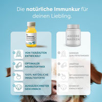 Produktbild von Dr. SAM Colostrum zur Immunstärkung für Hunde und Katzen, laktosearmes Kuh-Kolostrum, 125ml - 125 ml