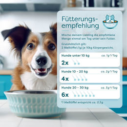 Dr. SAM ImmunBooster Cat Pulver zur Immunstärkung für Senioren Katzen 90g – Bild 1 von 4