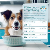 Produktbild von Dr. SAM ImmunBooster Cat Pulver zur Immunstärkung für Senioren Katzen 90g