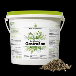Dr. Schaette GastroSan Pellets zur Unterstützung der Magen-Darm-Gesundheit für Pferde 3,5 kg - 3,5 kg – Bild 1 von 3