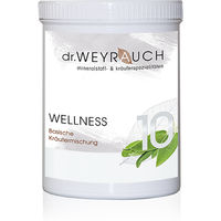 Produktbild von Dr. Weyrauch Nr. 10 Wellness zur Unterstützung der Verdauung