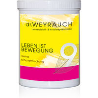 Produktbild von Dr. Weyrauch Nr. 9 Leben ist Bewegung zur Unterstützung der Gelenke