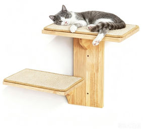 Dripio Katzen-Kletterwand aus Massivholz mit 2 Ebenen und Sisalmatte – Bild 1 von 1