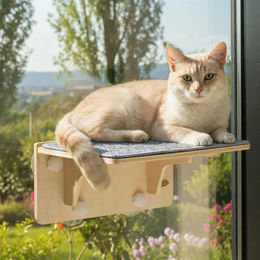 Dripio Katzen-Raumbett aus Holz mit Filzkissen und Saugnapf 40x26x18 cm – Bild 1 von 1