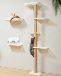 Dripio Katzen Wandregal Set mit Kratzbaum und Sitzstange in Beige – Bild 1 von 1